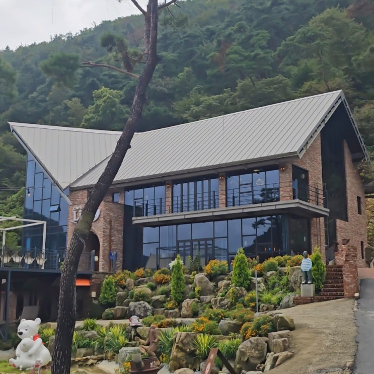  담양 숲속마을 리사카페 동물먹이주기