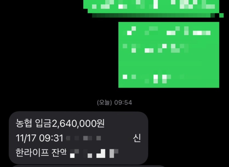 [임신일기 10] 계류유산 소파술 수술비 300만원 수령(수술특약, 약관 찾기)