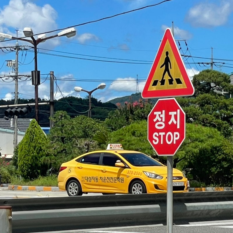 양산 부산 운전면허 대성자동차학원 1종 자동 합격 후기 기간 과정 비용 총정리