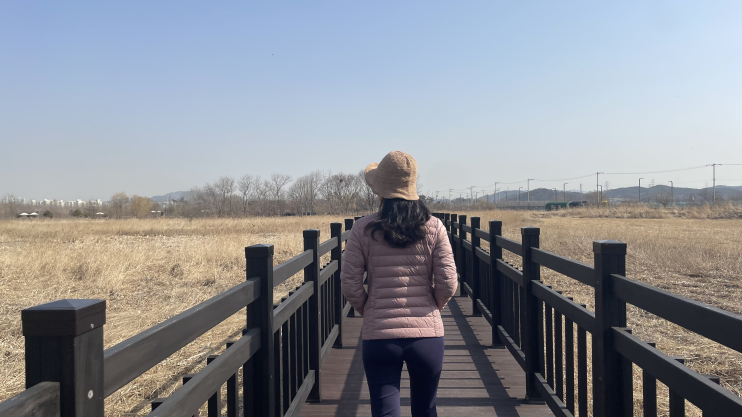  경기도 화성 비봉습지공원 산책 코스 후기