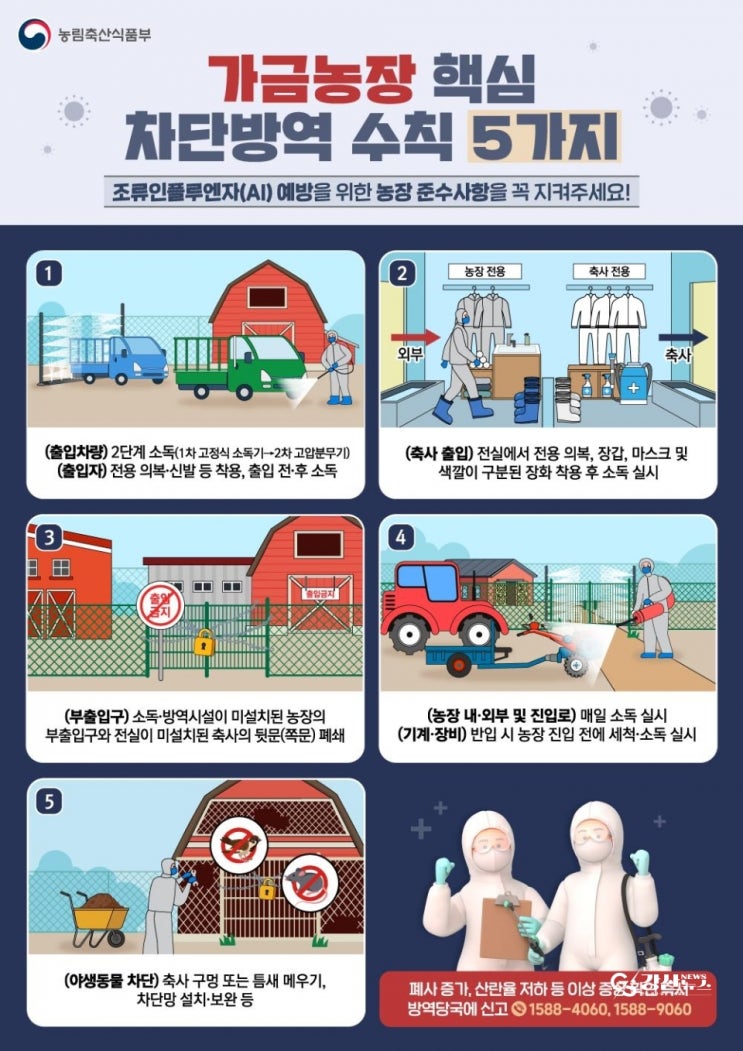 화성 <b>산란계 농장</b>서 H5형 <b>AI</b> 항원 검출…중수본, 12시간... 