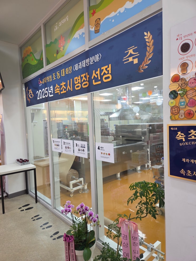 과자의성 속초 가격/예약 총정리 | 6세와 함께한 과자집 만들기 체험 후기