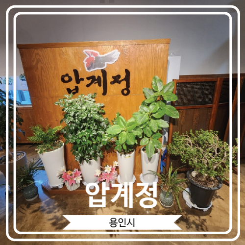  [압계정] 능이백숙과 삼계탕으로 유명하고 계곡과 족구장을 갖추고 있는 고기리맛집