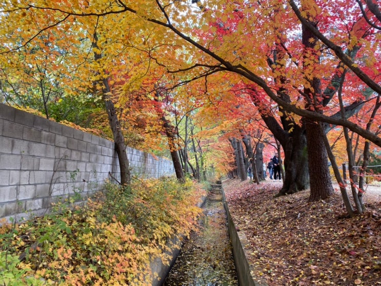  옛 중앙내수면연구소 _ 가평 청평 단풍길