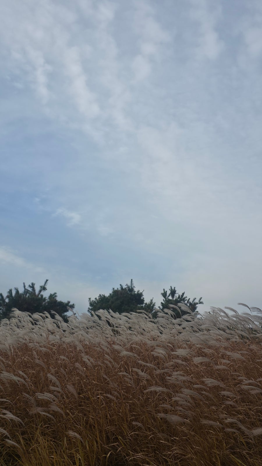 다정다감 사진 1