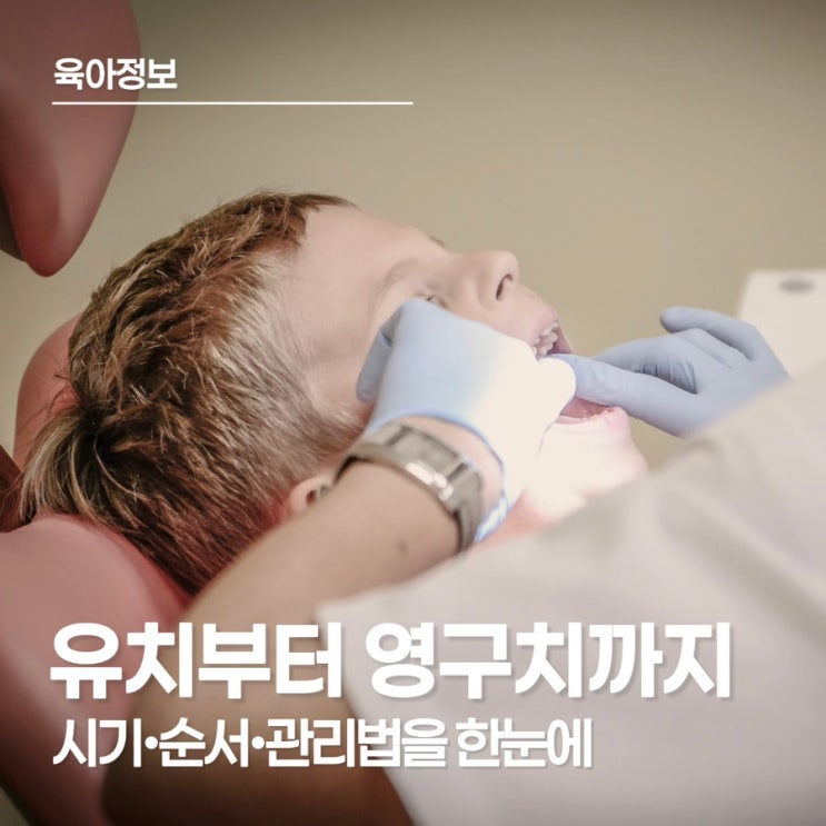  유치 나오는 순서 및 빠지는 시기, 영구치 나는 순서까지 한눈에 보기