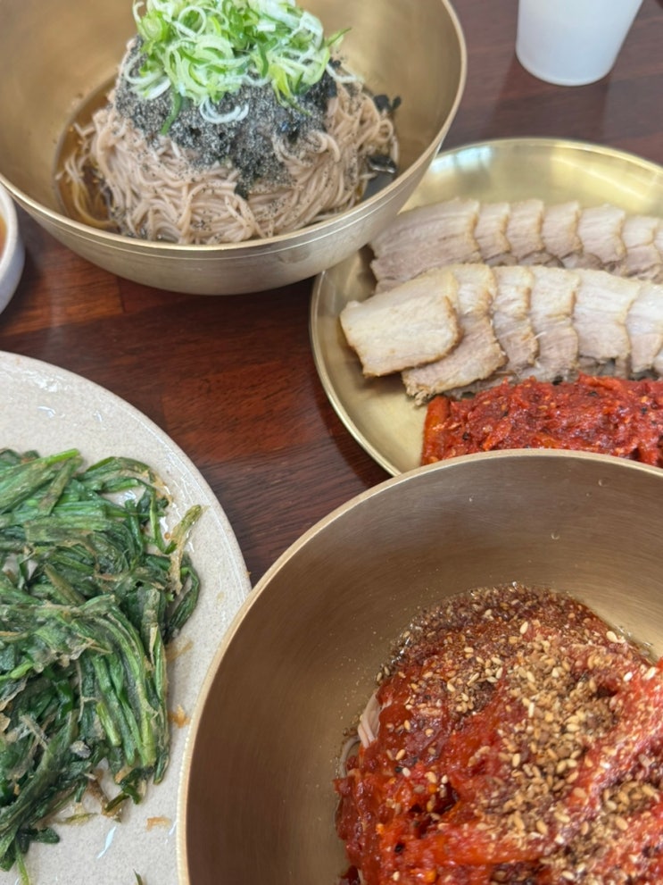  충주여행 현지인 추천 백반기행 막국수 맛집 남한강막국수