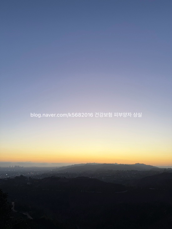  건강보험 피부양자 자격 상실 기준 정리