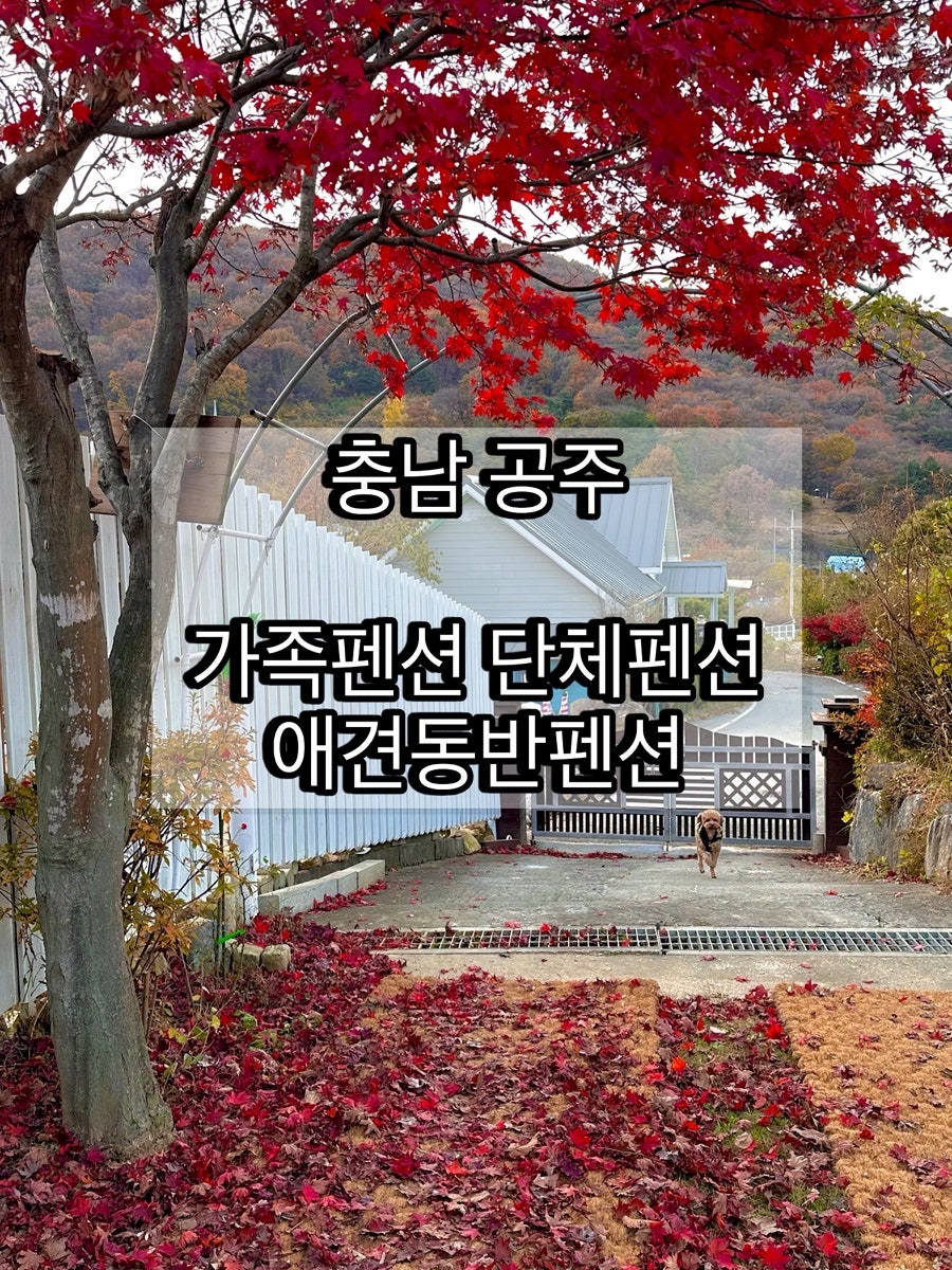 자연이야기 사진 1