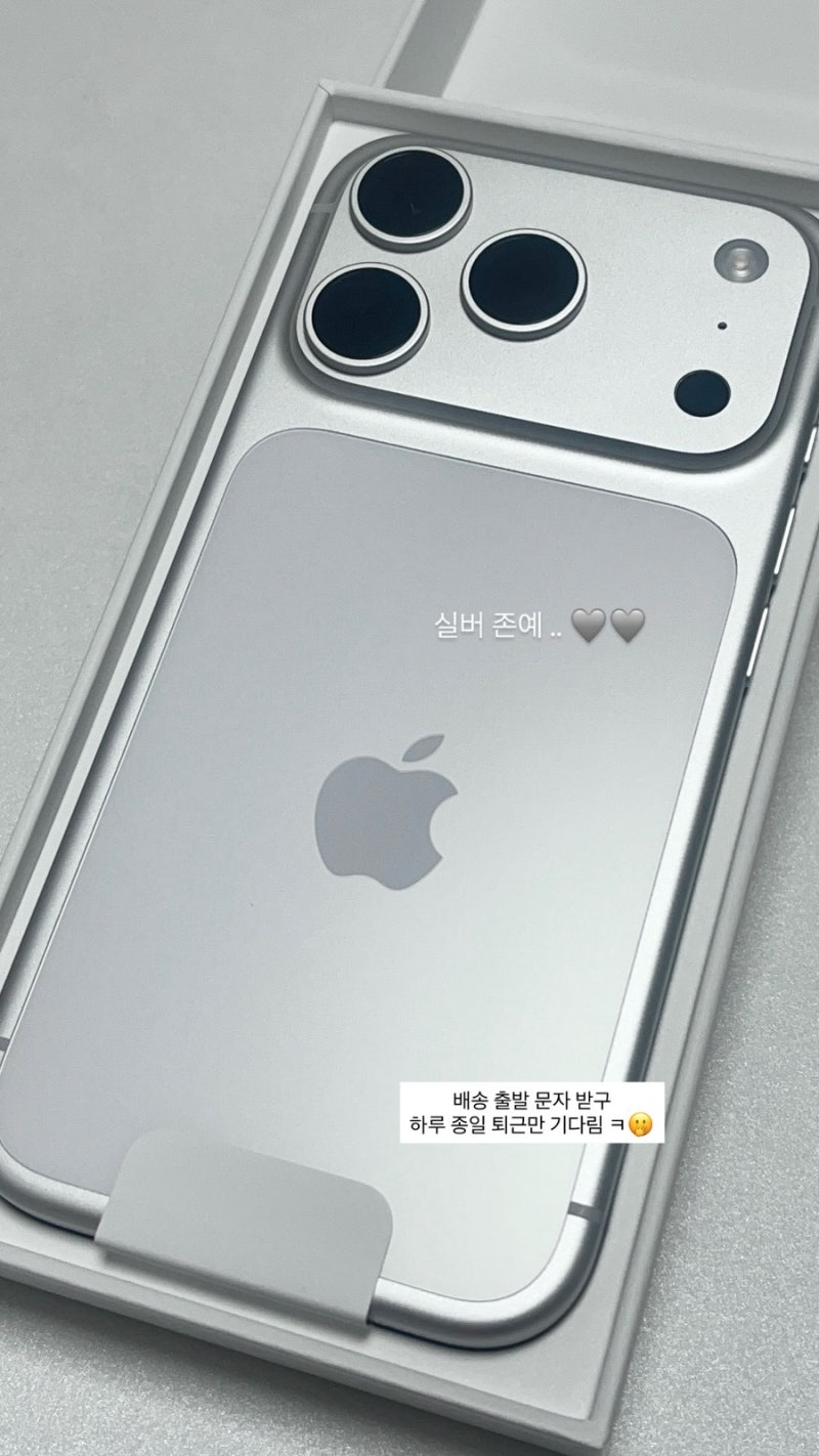 아이폰 17 프로 실버 언박싱 후기 | 화면 기록 녹화 기능 설정 방법