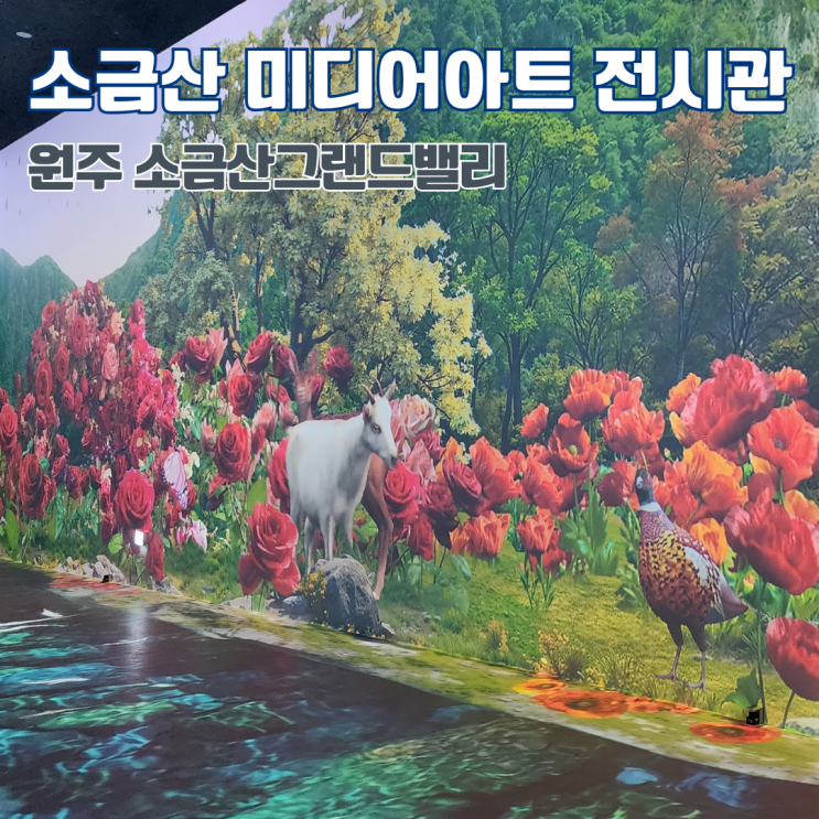  원주 소금산 미디어아트센터 입장료 강원도 여행 소금산그랜드밸리 가볼만한 곳