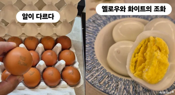 <b>이경실 달걀</b> 사업 <b>논란</b>... 30구에 1만5천원 "<b>가격</b> 비싸다" 지적