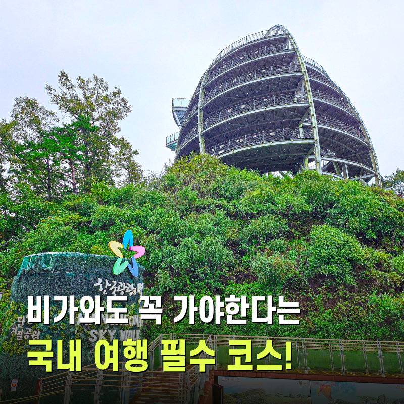 사진 6