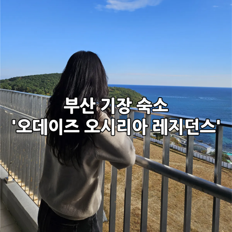  부산 기장 가성비 숙소 '오데이즈 오시리아 레지던스' | 부산 바다뷰 호텔 추천