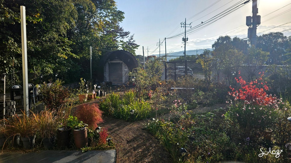 첫뜰 사진 5