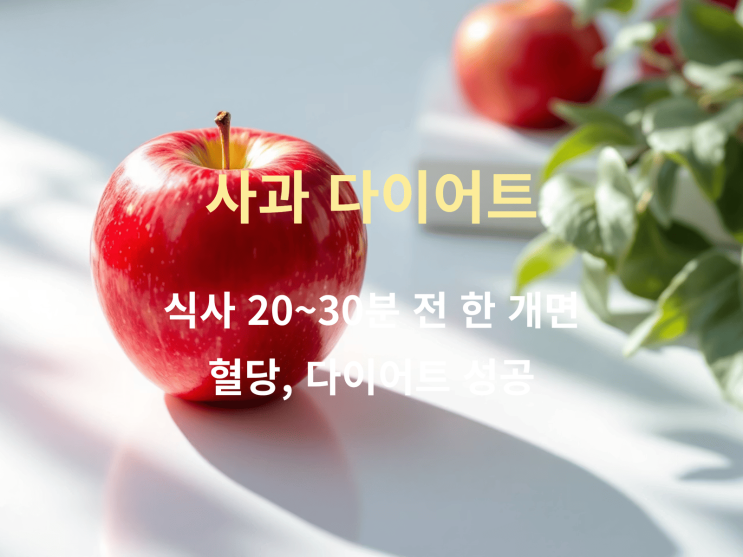  사과 다이어트: 식사 20~30분 전 한 개면 혈당, 다이어트 성공