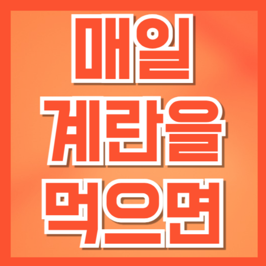  매일 계란을 먹으면 생기는 변화 (건강 효과와 주의사항 총정리)