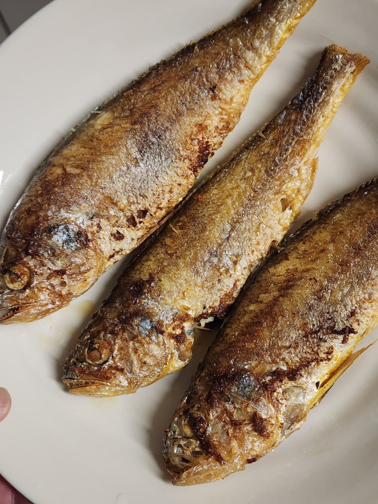  코스트코 온라인몰 참굴비중 1.7kg x 2팩 솔직 후기! 맛·구성·가성비까지 완벽 분석