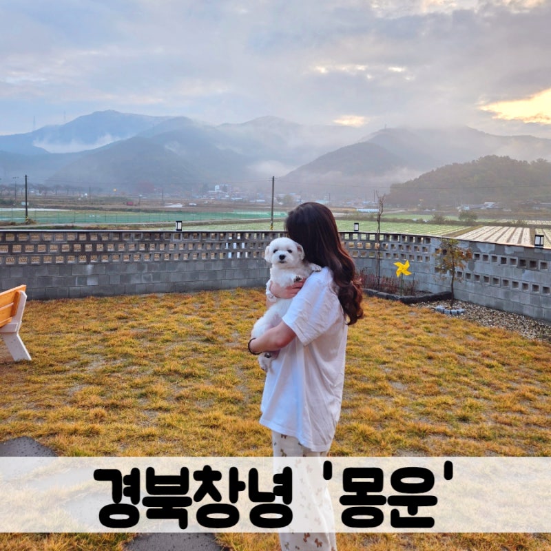 몽운펜션