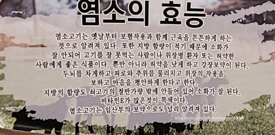 얌새이 사진 4