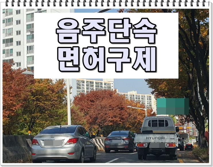  대전 음주단속 면허취소 기간 감경 및 전동 킥보드 전기 자전거 결격기간 해제