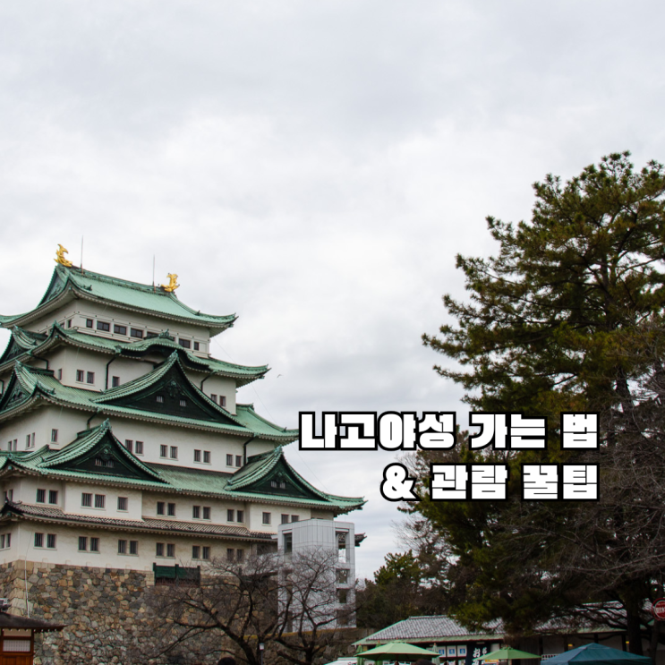  나고야 여행 필수 코스 '나고야성' 가는법(버스/지하철) 및 입장료, 물품보관함 꿀팁