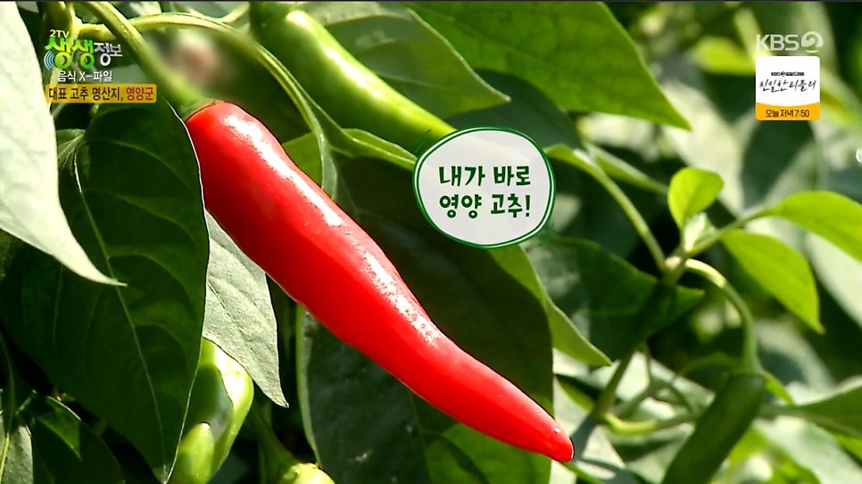 삼막골 사진 6