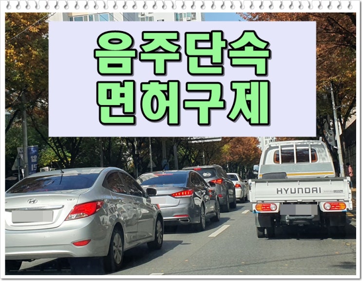  부산 음주단속 면허취소 구제 및 전동 킥보드 등 PM 결격기간 해제