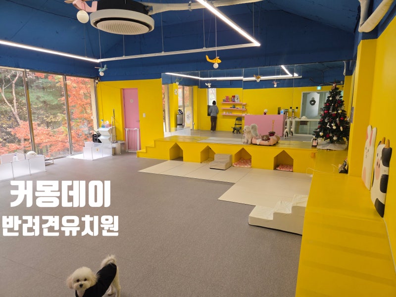 사진 2