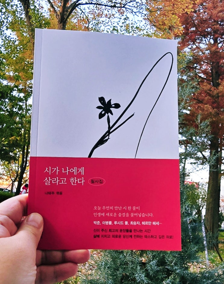  샘플북 서평 시가 나에게 살라고 한다 필사집/나태주 엮음