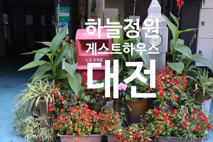  대전가성비숙소 "하늘정원 게스트하우스"