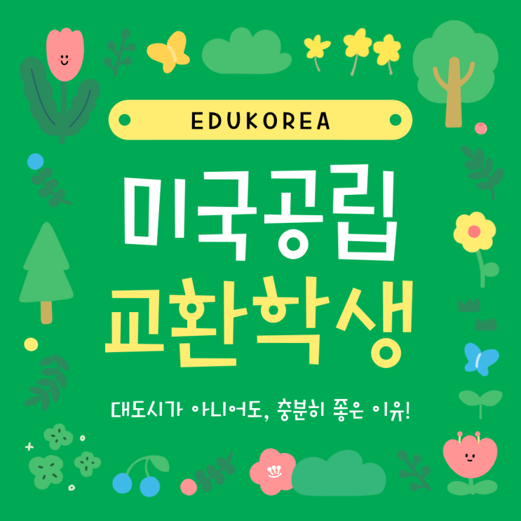  작은 도시에서의 교환학생 생활, 어떤 장점이 있을까?