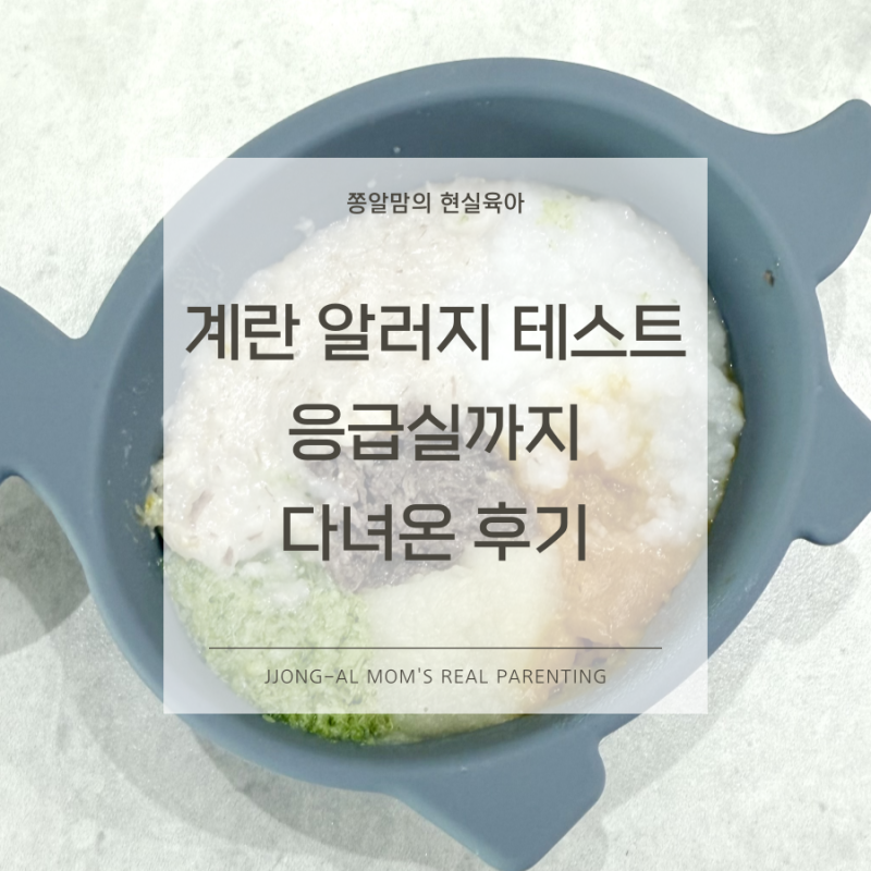 계란 알러지 테스트 주의사항 발진, 붓기 증상 응급실 다녀온 후기
