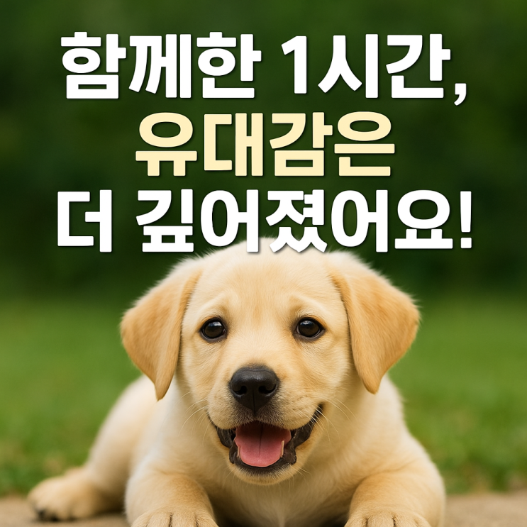   반려견과 함께 하는 클래스 체험기, 기대 이상이었어요!