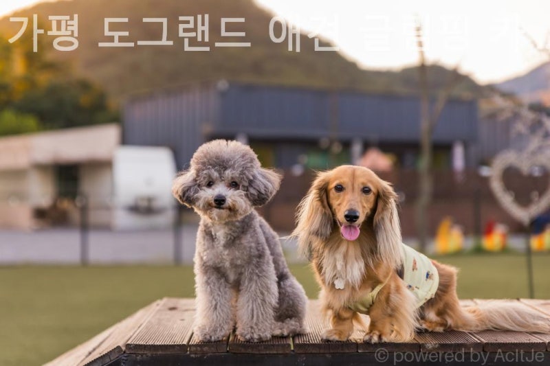 사진 3