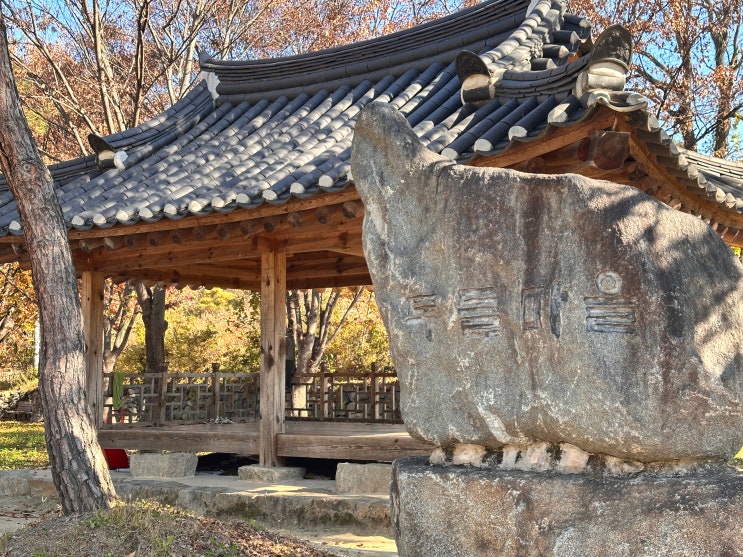 웰니스 여행 <b>영양</b> 가볼만한곳 <b>자작나무숲</b> 장계향 두들마을... 