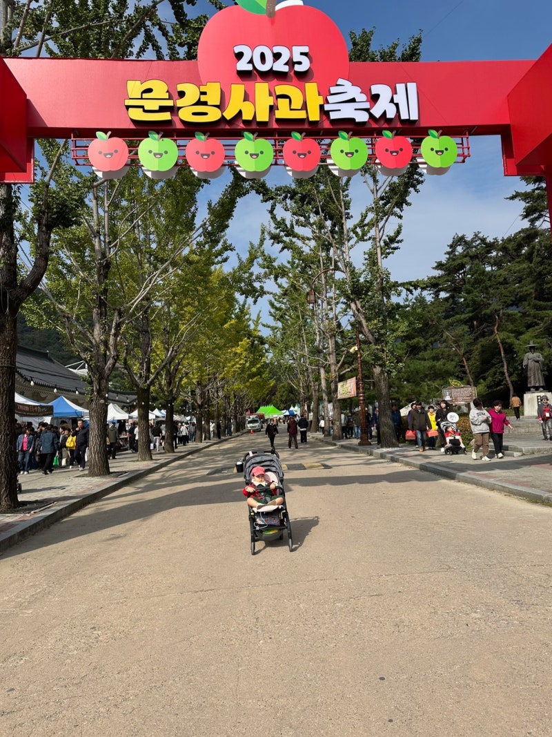 문경새재 단풍시기 사과축제 감홍사과 입장료 아기와 여행 주차 식당