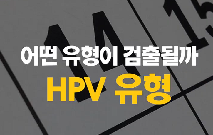 HPV 바이러스 고위험군 번호별 위험도