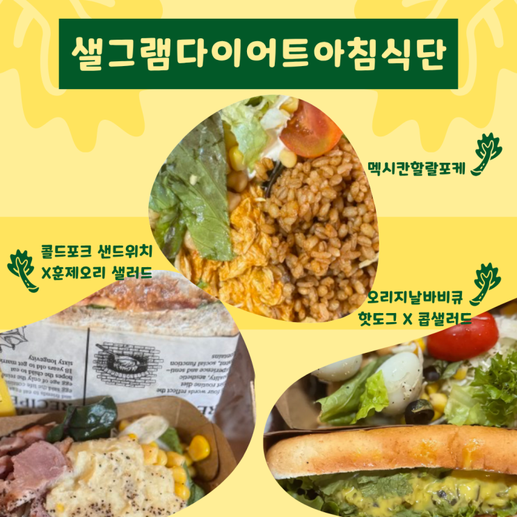  다이어트 아침식단은 샐그램을 추천하는 이유