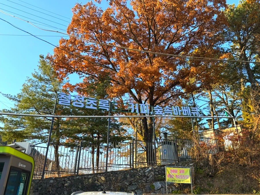 퀸즈포크X철정초록 사진 2