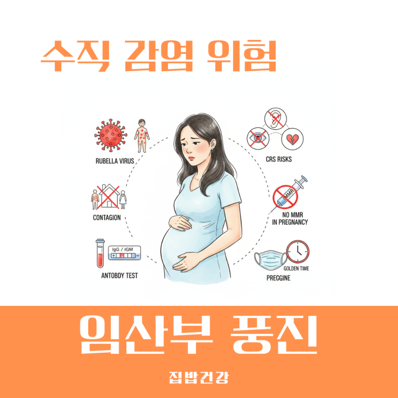임산부 풍진 항체 없다면 검사 결과 해석과 대처법