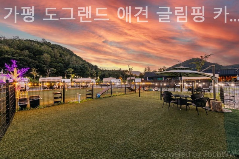 사진 4