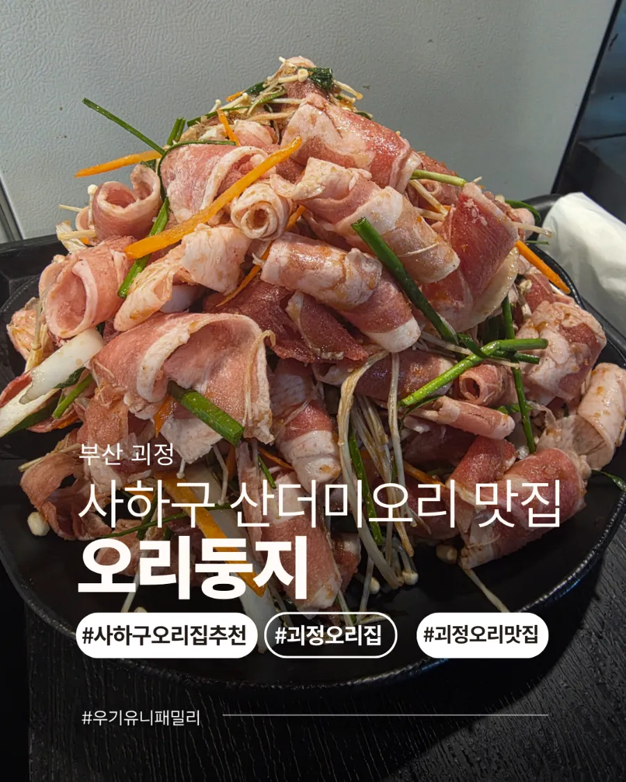 오리둥지 사진 1