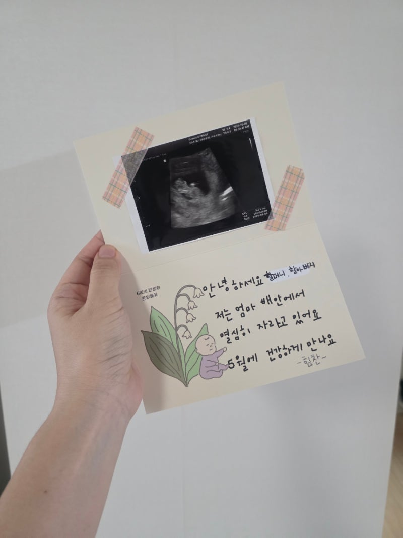 [임신8주] 임밍아웃 / 아기 태몽