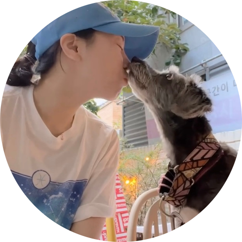 사진 3
