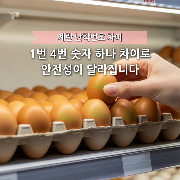  '계란 난각번호 차이'왜 논란인지 아세요? 보는 법 알면 달걀 절대 아무거나 못 사요
