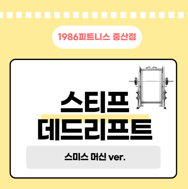 스미스머신 스티프 데드리프트 마스터하기 A TO Z