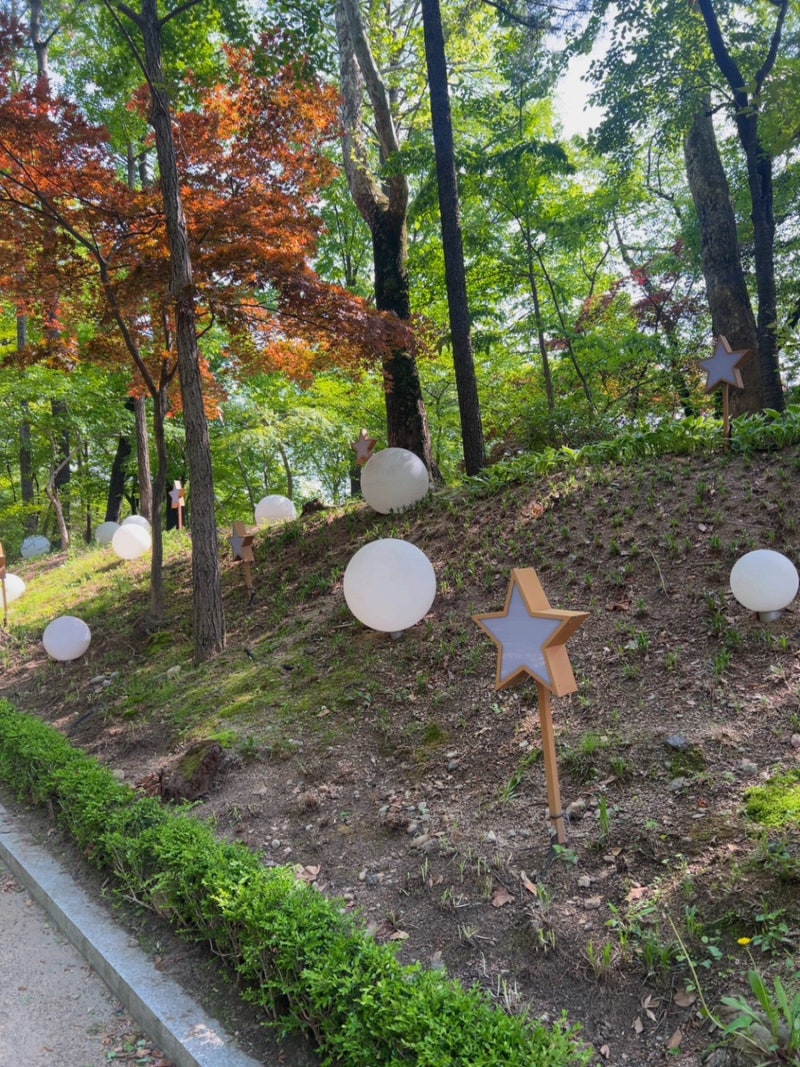 사진 3