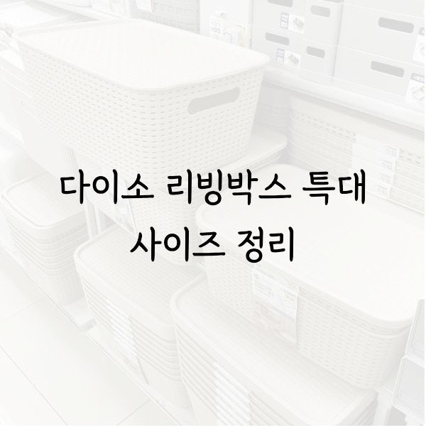 다이소 리빙박스 특대 사이즈 종류 알아봤어요