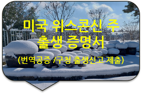  미국 코네티컷 / 위스콘신 주 '출생 증명서' 번역공증(대행) [구리/다산/별내/포천 번역]